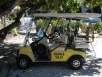 Golf Carts